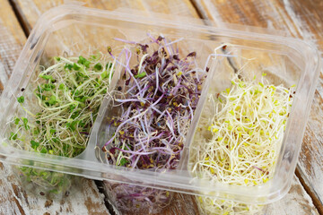Selection of leek sprouts in transparent plastic box on rustic wooden surface
