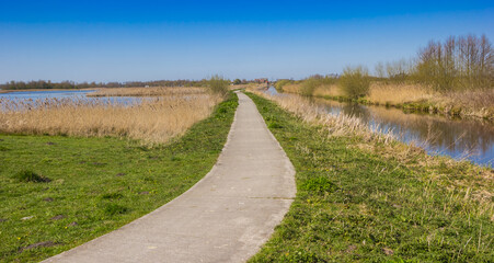Fototapeta na wymiar Bicycle path in the Leekstermeer nature area in Drenthe