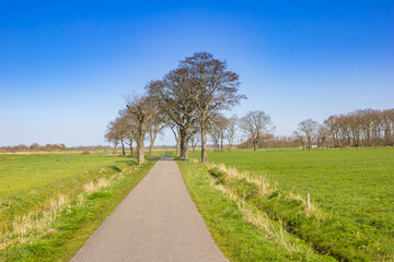 Trees at the bicycle path in the Leekstermeer nature area in Drenthe