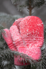 Red mittens in the winter forest. Frozen plants . Selective focus.