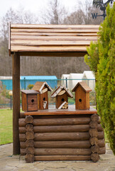 Taking care of the birds. DIY birdhouses close-up, side view