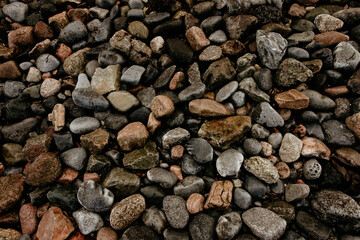 Small stone gravel texture for background. Wet seashore still life with variable size shingle. Lots...