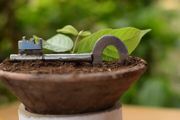 KEY IN FLOWER POT WITH MUD 