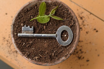 KEY IN FLOWER POT WITH MUD 
