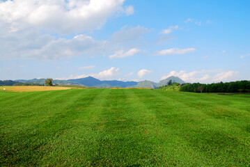Nature scene of Green Grass Parks with Cloud blue sky background at singha parks , chiang rai , thailand