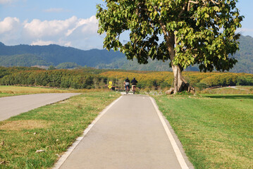 Fototapeta premium Nature scene and Sport activity ride bicycle on bicycle lane in the parks with Cloud blue sky at singha park , chiang rai , thailand