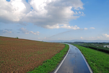 Landscape Road on the green tea field and water sprinkle is splash water on the hill with blue sky cloud background at singha parks and outdoor , chiang rai , thailand