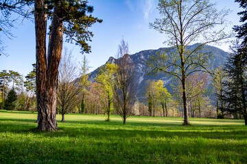 Obraz premium A tranquil scene of a green meadow with trees and a mountain in the background. Natural Parkland landscape in Spring on a beautiful morning 