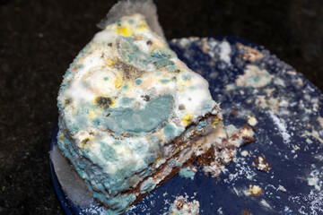 Moldy piece of cake on a dark blue plastic cake plate against dark background