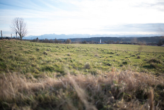 Panorama der bayerischen Alpen mit Ortsansicht von Strau&szlig;dorf, Grafing. Im Vorderund eine Kuhweide