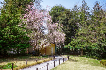 Obraz premium 西郷従道邸跡に造られた菅刈公園(目黒区青葉台、西郷山公園と隣接）