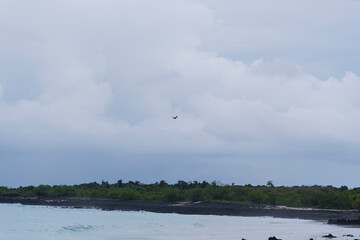Vue de la mangrove sur l'île de Ngazidja au nord de la Grande Comores