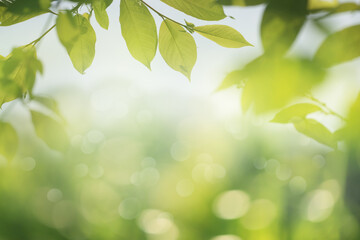 Frame of green leaves, spring nature background