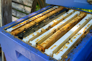 An open beehive 