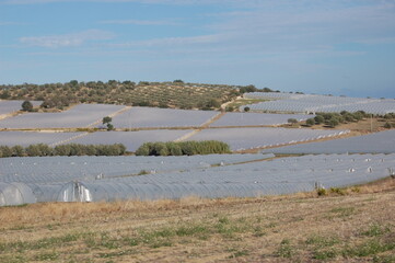 Fototapeta premium marzamemi pachino sicilia