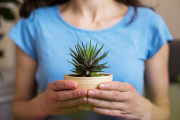 A woman holds a pot of succulent in her hands