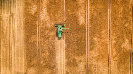 Harvester harvesting seed in Poland. Aerial view of agriculture.