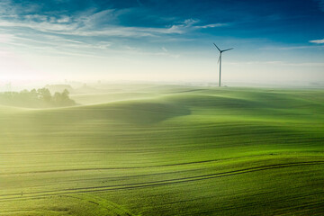 Fototapeta na wymiar Foggy green field at sunrise. Aerial view of agriculture