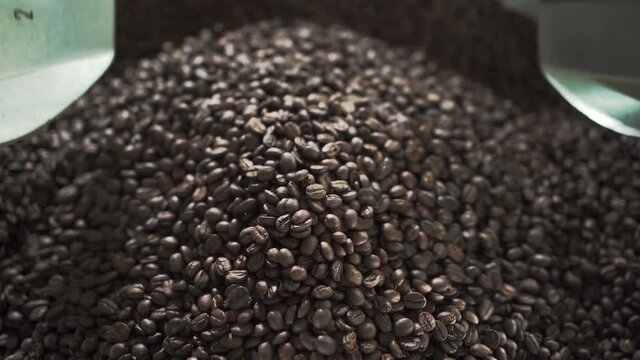 Selective Focus ,Dry Organic Coffee Bean Selecting In Coffee Milling Process,.concept Of Superior Quality And Attention To Detail Of The Coffee And Love Of Nature