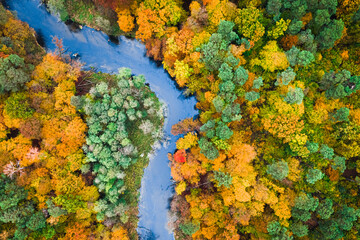 Colorful autumn forest and river. Aerial view of wildlife, Poland