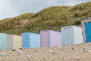 Obraz na płótnie Canvas Beach huts in Texel, The Netherlands