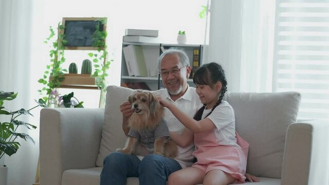 Grandfather and granddaughter with dog sitting on the sofa They laugh and have fun with the dogs. Health care ideas for the family and the elderly