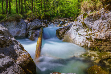 Hintersee Zauberwald