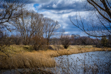Dry autumn trees along the blue lake. Landscape-a quiet backwater, a river in the forest. Selective focus. Beauty is in nature. Storm clouds.