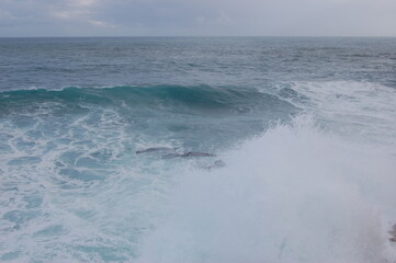 Fototapeta premium mare in tempesta