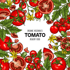 Vector hand drawn frame with tomatoes