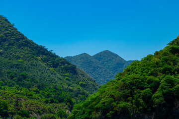 Fototapeta na wymiar The green trees in the mountains under the sun.