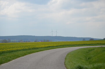 Fototapeta na wymiar turbines in the field