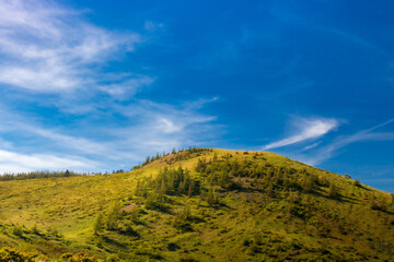 夏の高原の登山