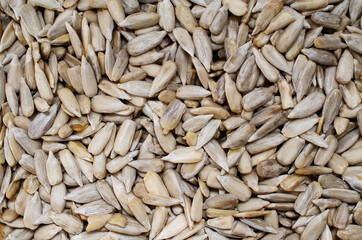 Dry organic sunflower seed background in soft brown tone