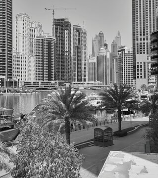 Fototapeta architectural landscape of big city dubai