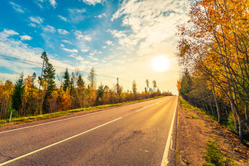 Suburban autumn road going up the hill. Mixed forest. Sunset. Autumn evening. Beautiful nature. Russia, Europe. View from the side of the road.