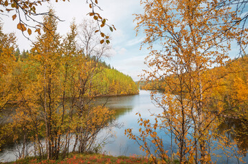 Fototapeta na wymiar Golden autumn, Tuloma river (Kola Peninsula, Murmansk region)