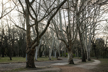 Early spring photo of an old walkway in a public park in Budapest, Hungary