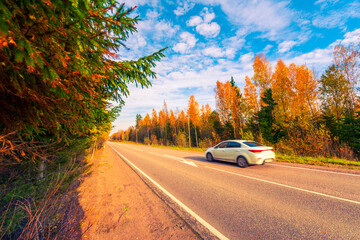 Country autumn road going downhill. The white car goes on the road. Mixed forest. Cloudy weather. Autumn evening. Beautiful nature. Russia, Europe. View from the side of the road.