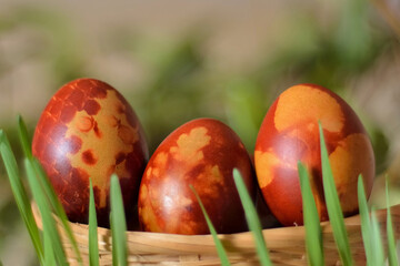 Painted Easter eggs in wooden baskets and grass in the background. The eggs are dyed with the natural color of the onion shell. Close up, selective focus