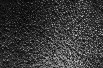 Air bubbles in the water background.Abstract oxygen bubbles .Water bubbles Black and white tone style.