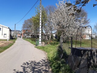 Fototapeta na wymiar Pequeña área rural gallega en Vilalba, Galicia