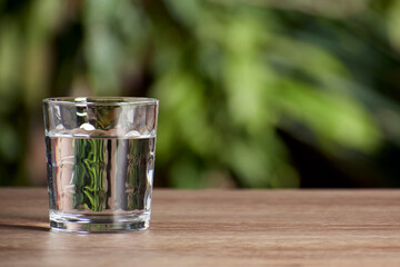glass vase on table with green natural plants background