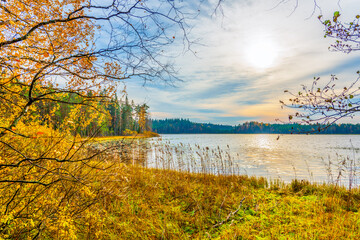 Sunset over the forest lake. Cloudy autumn weather. Marshland. Trees without foliage. Beautiful nature. Russia, Europe. View from the shore.