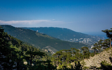 Fototapeta na wymiar Pine trees on the rocks on the mountain slope of the South Coast of Crimea.