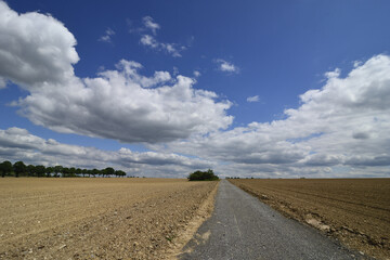Landscape with a lonely path in bright sunshine