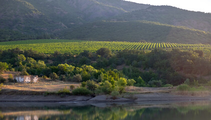 Vineyards surrounded by rocky mountains in the early morning next to a mountain lake.