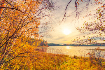 Sunset over the forest lake. Autumn weather. Marshland. Trees without foliage. Beautiful nature. Russia, Europe. View from the shore.