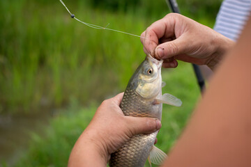 hands remove the caught fish from the hook
