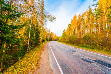 Fototapeta premium Turn the country broken road. Mixed forest. Cloudy weather. Autumn weather. Beautiful nature. Russia, Europe. View from the side of the road.